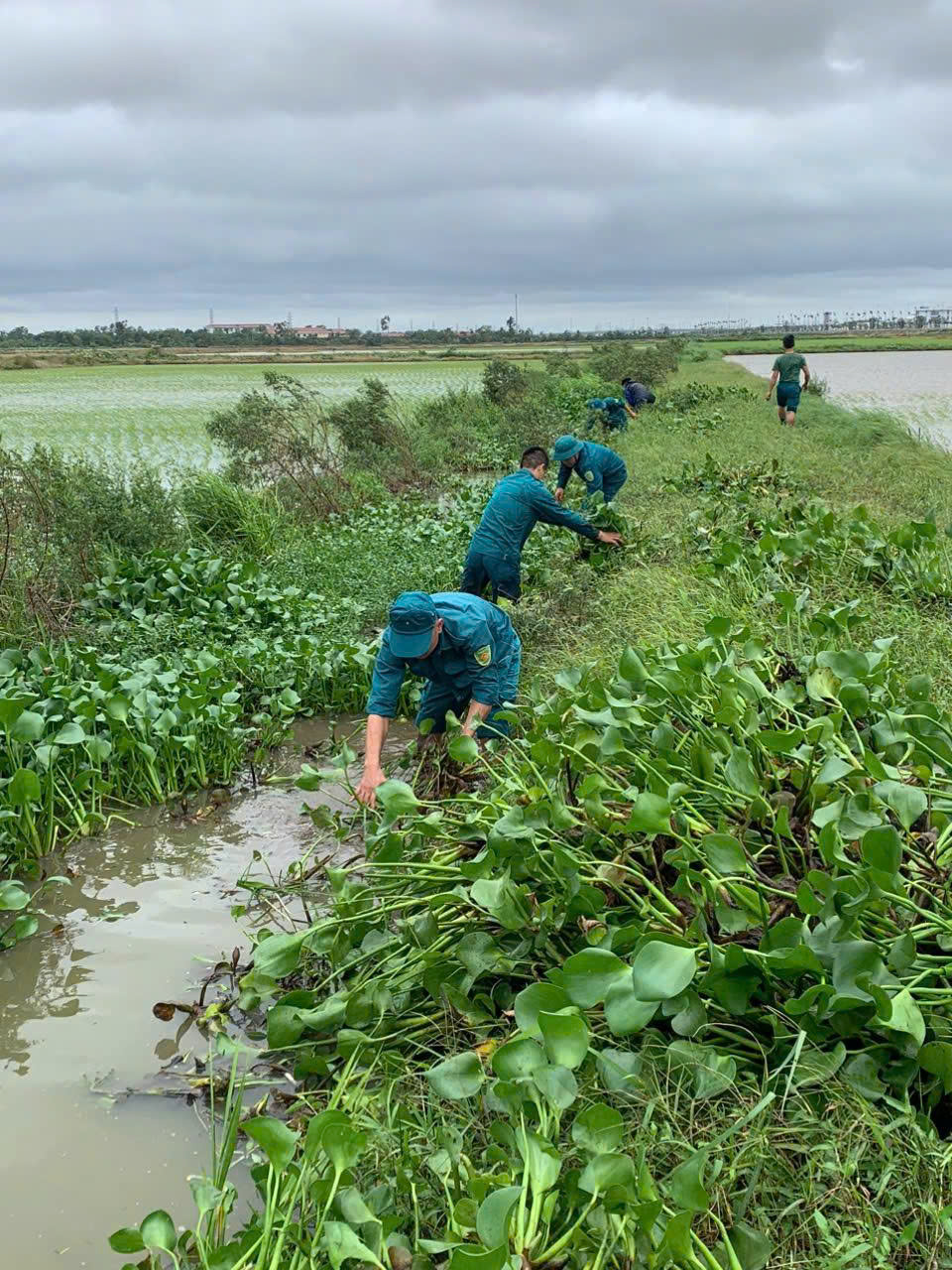 Xã Xuân Trúc chủ động triển khai các biện pháp phòng, chống bão