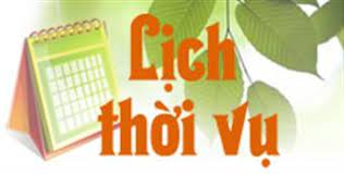 Cơ cấu giống và lịch thời vụ gieo cấy các giống lúa vụ mùa năm 2023